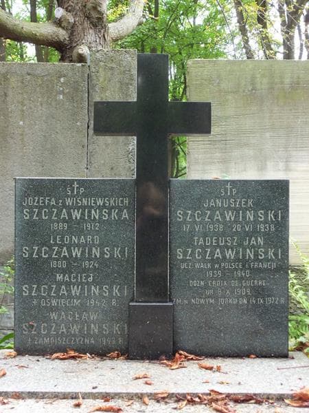 Zdjęcie grobu Januszek Szczawiński (2)