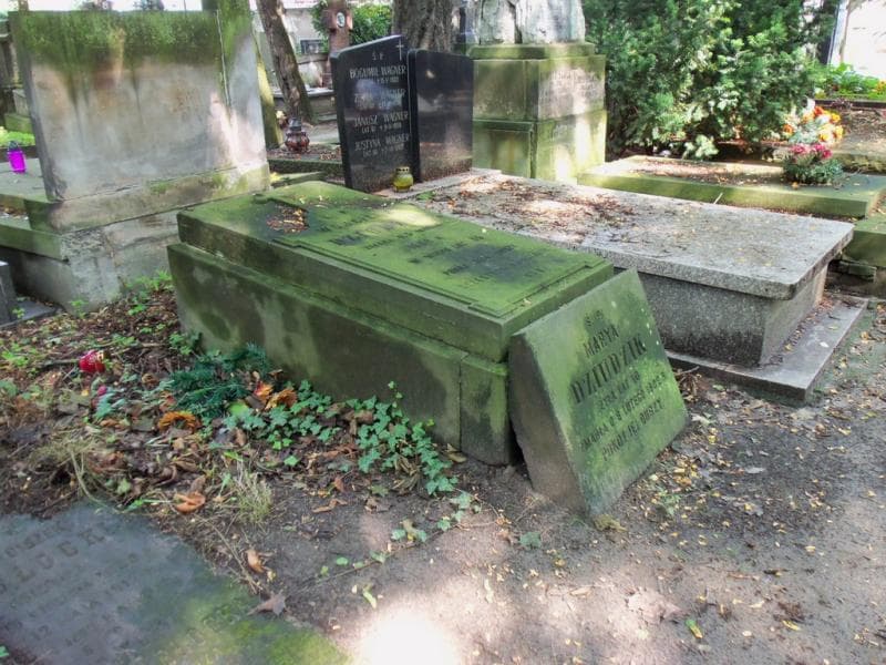 Zdjęcie grobu Marya Dziudzik (1)