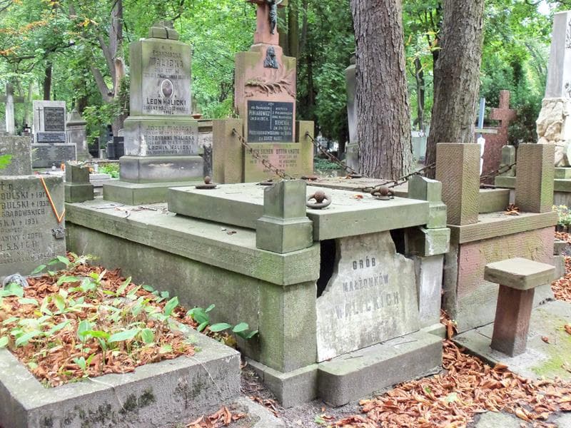 Zdjęcie grobu Józef Walicki (1)