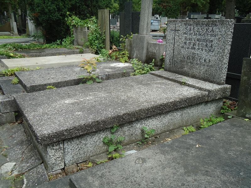 Zdjęcie grobu Witold Nowicki (1)
