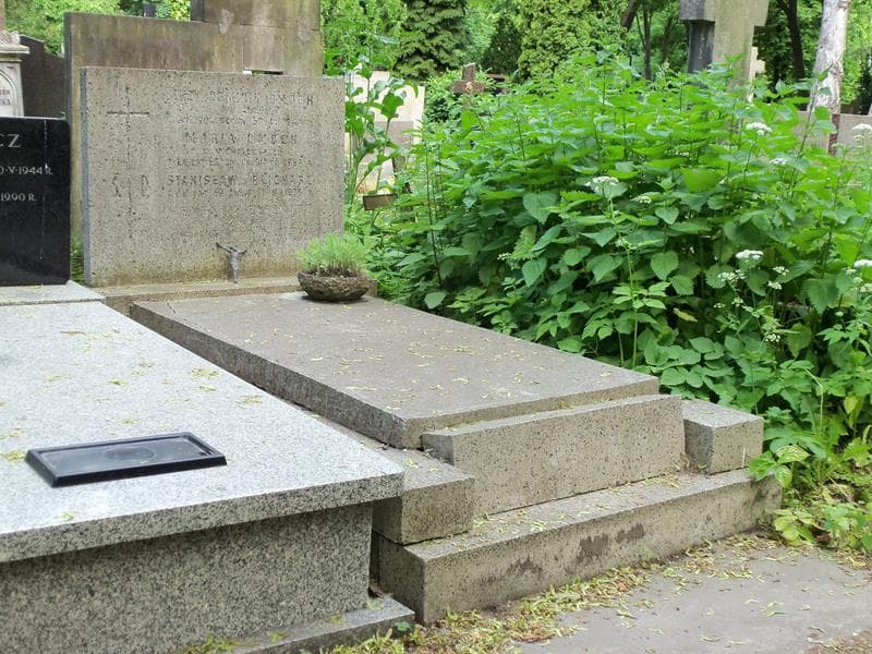 Zdjęcie grobu Jerzy Dominik Dmoch (1)