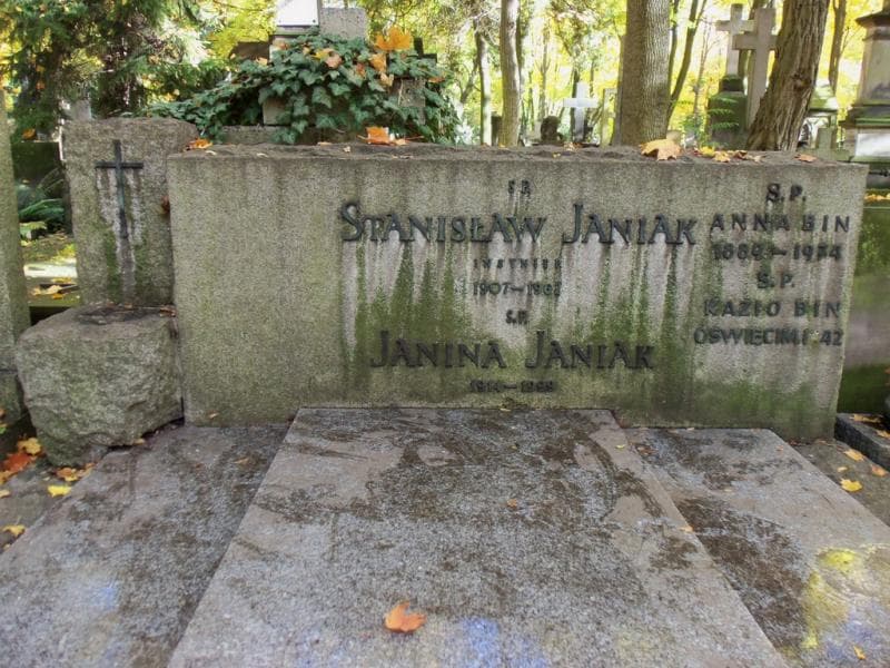 Zdjęcie grobu Stanisław Janiak (2)