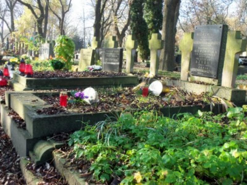 Zdjęcie grobu Magdalena Mierzwińska (1)