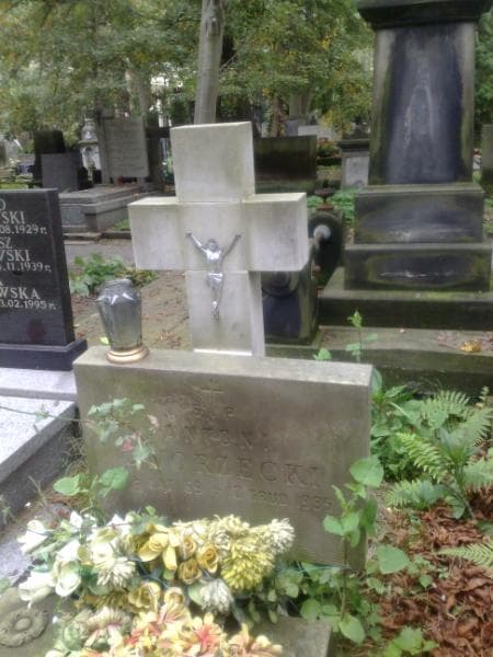 Zdjęcie grobu Lucjan Niedźwiecki (1)
