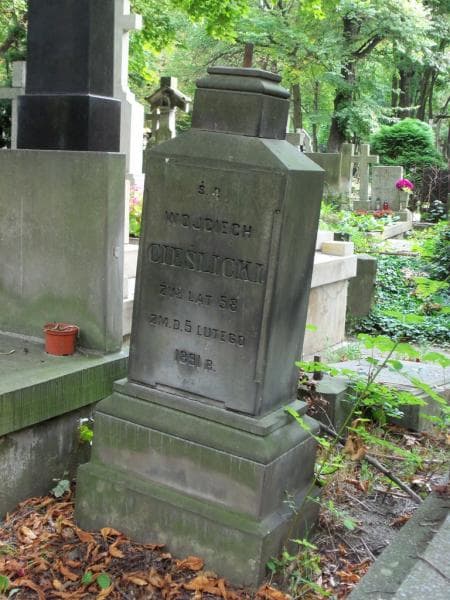 Zdjęcie grobu Wojciech Cieślicki (2)
