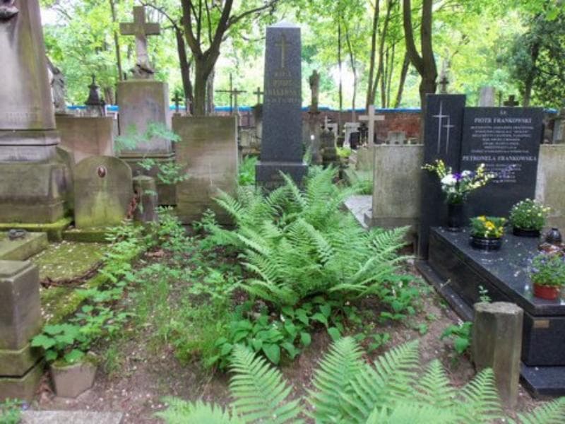 Zdjęcie grobu: Michał Kłopotowski