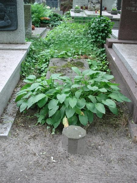 Zdjęcie grobu Florentyn Adamski (1)