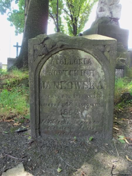 Zdjęcie grobu Pole Grobowe (appolonia Jankowska) (2)