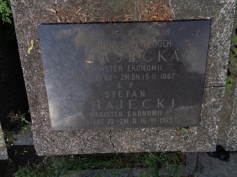 Zdjęcie grobu Stefan Chajęcki (2)