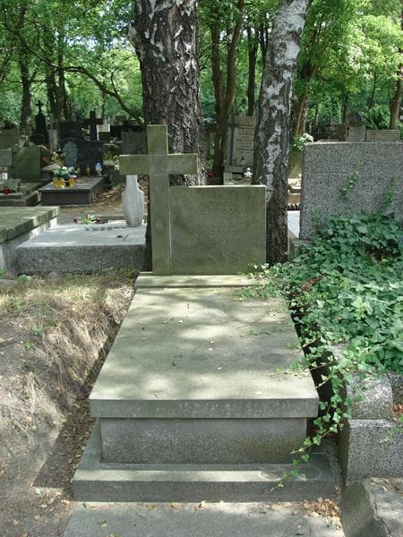 Zdjęcie grobu: Stanisław Żółtowski