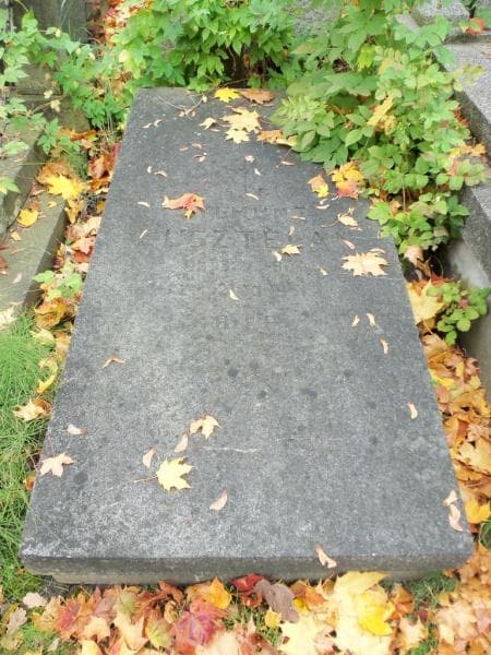 Zdjęcie grobu Zygmunt Kusztelan (2)