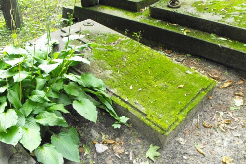 Zdjęcie grobu Tekla Budzyńska (1)
