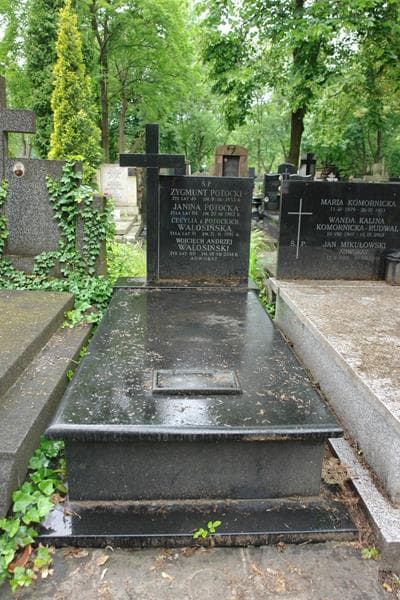 Zdjęcie grobu Cecylia Walosińska (1)