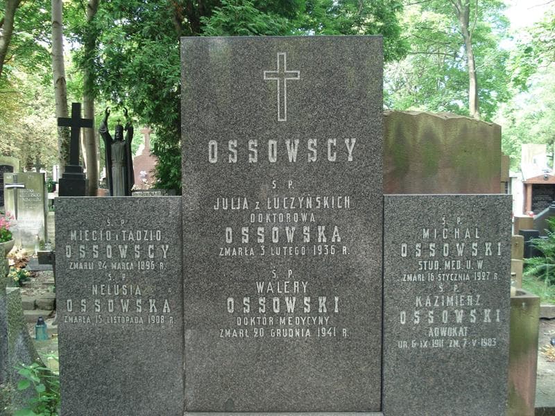 Zdjęcie grobu Nelusia Ossowska (2)