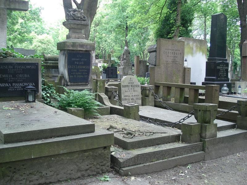 Zdjęcie grobu Poluś Krzyżanowski (1)