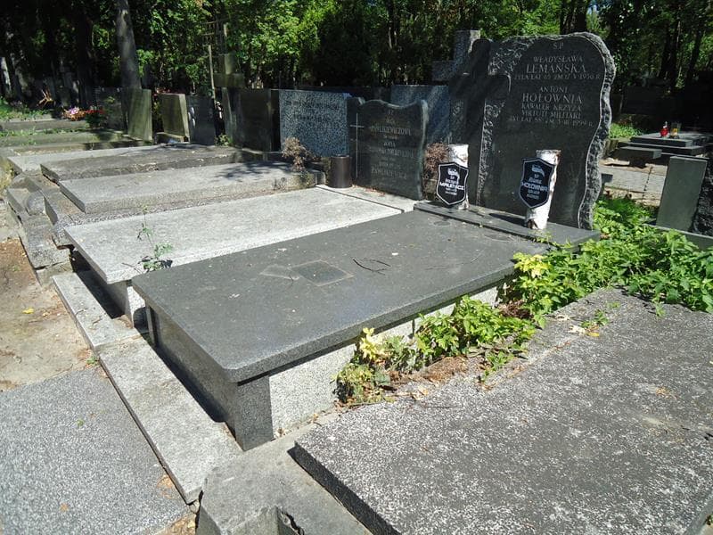 Zdjęcie grobu Helena Hołownia (1)