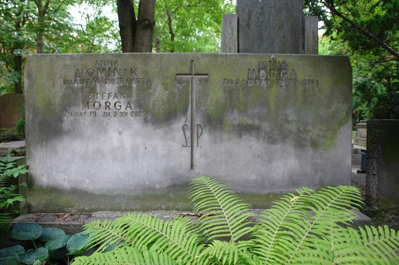 Zdjęcie grobu Anna Dominik (2)