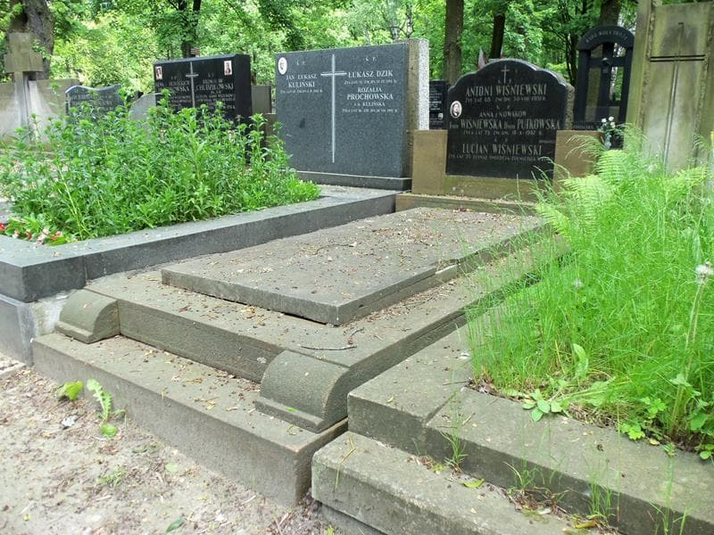 Zdjęcie grobu Anna Putkowska (1)