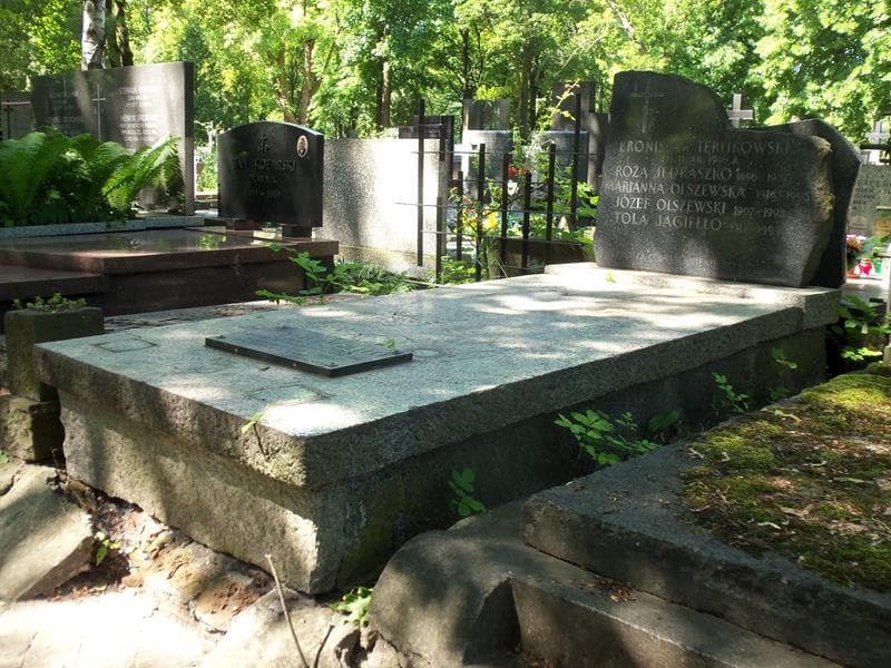 Zdjęcie grobu Józef Olszewski (1)