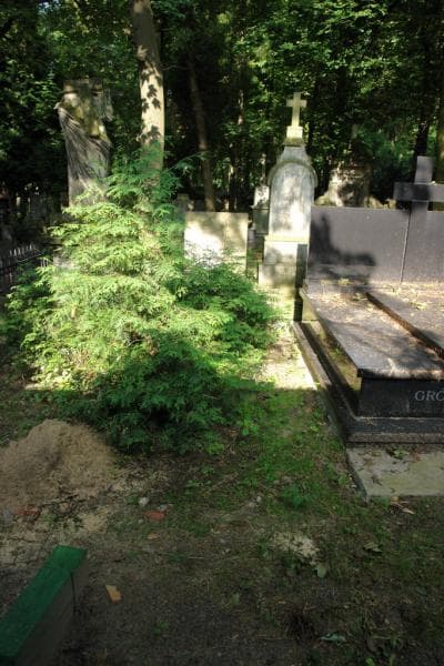 Zdjęcie grobu: Franciszek Jungman