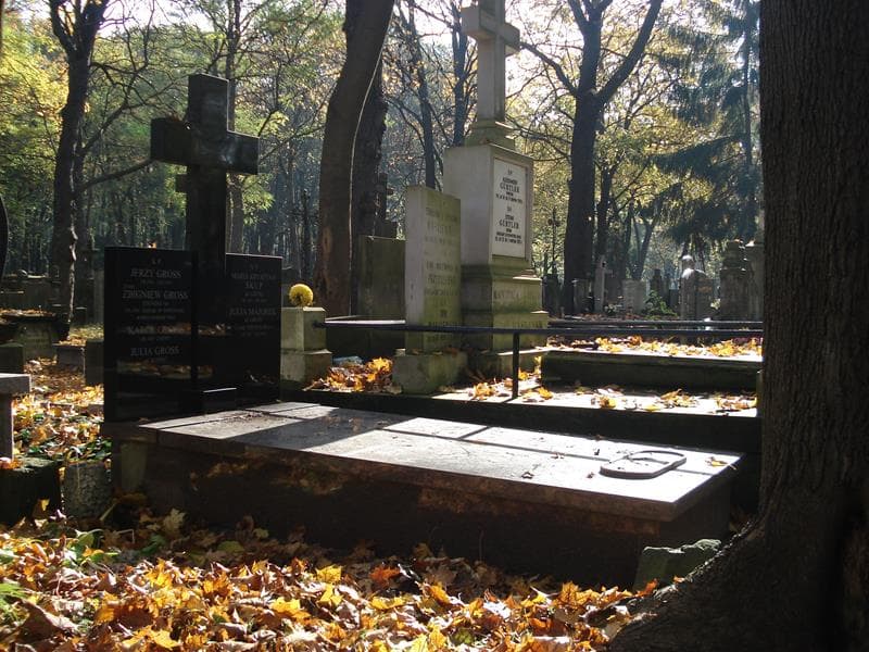 Zdjęcie grobu Julia Majorek (1)