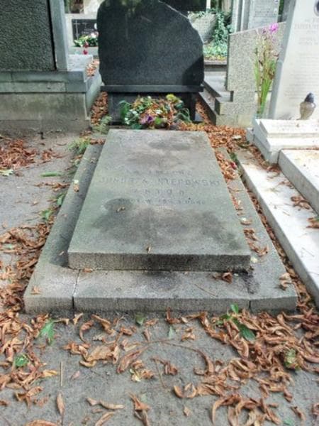 Zdjęcie grobu: Helena Junosza Stępowska