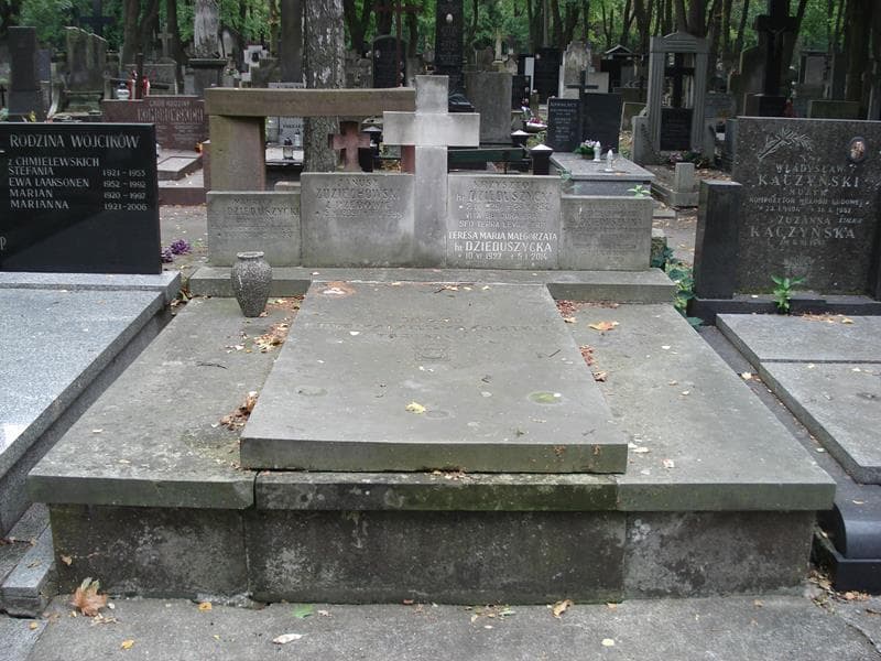 Zdjęcie grobu Janusz Zdziechowski (1)