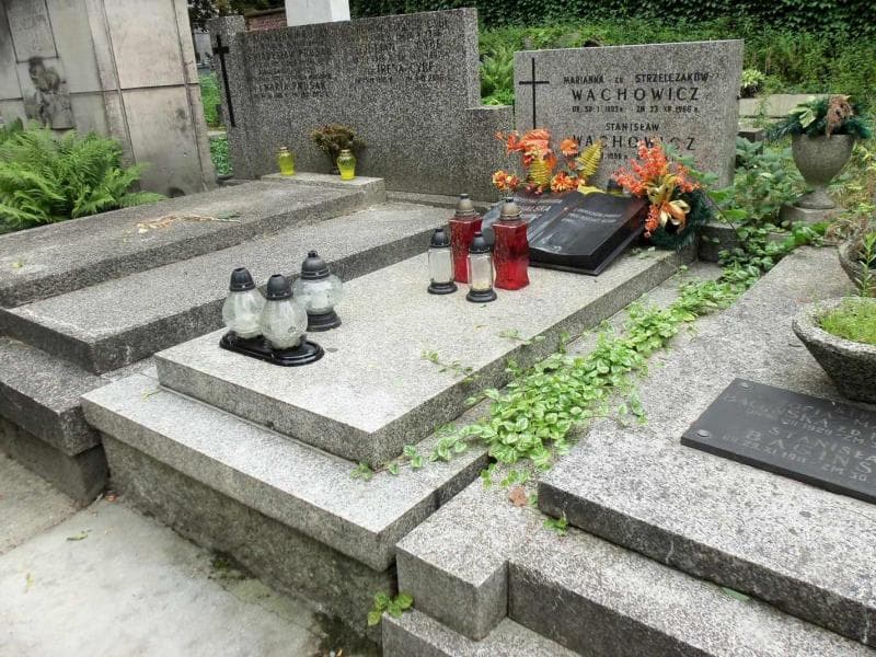 Zdjęcie grobu Stanisław Wachowicz (1)
