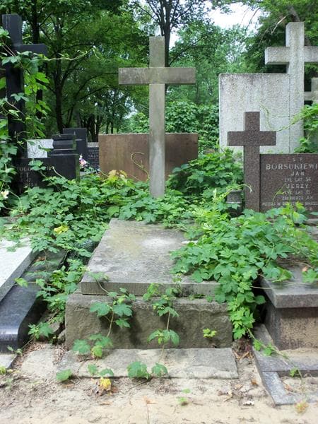 Zdjęcie grobu: Kazimierz Wosiński