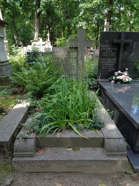 Zdjęcie grobu Zygmunt Górski (1)