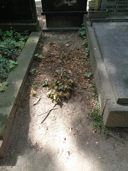 Zdjęcie grobu: Pole Grobowe