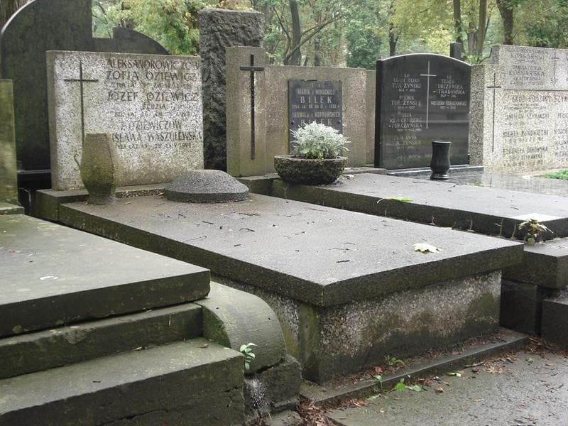Zdjęcie grobu Stanisława Waszulewska (1)