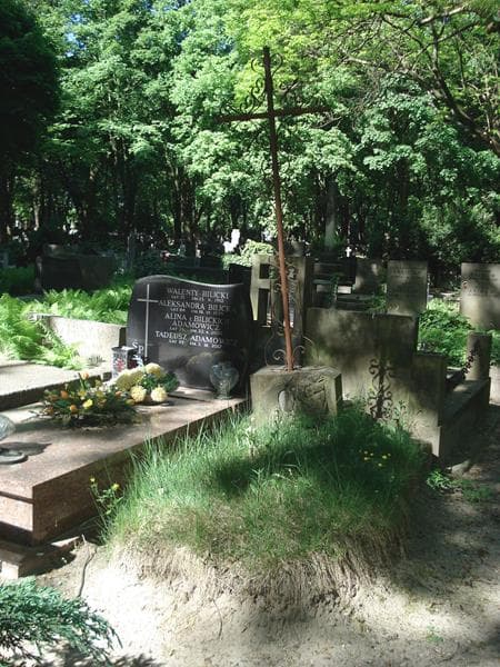 Zdjęcie grobu: Karol Barszcz