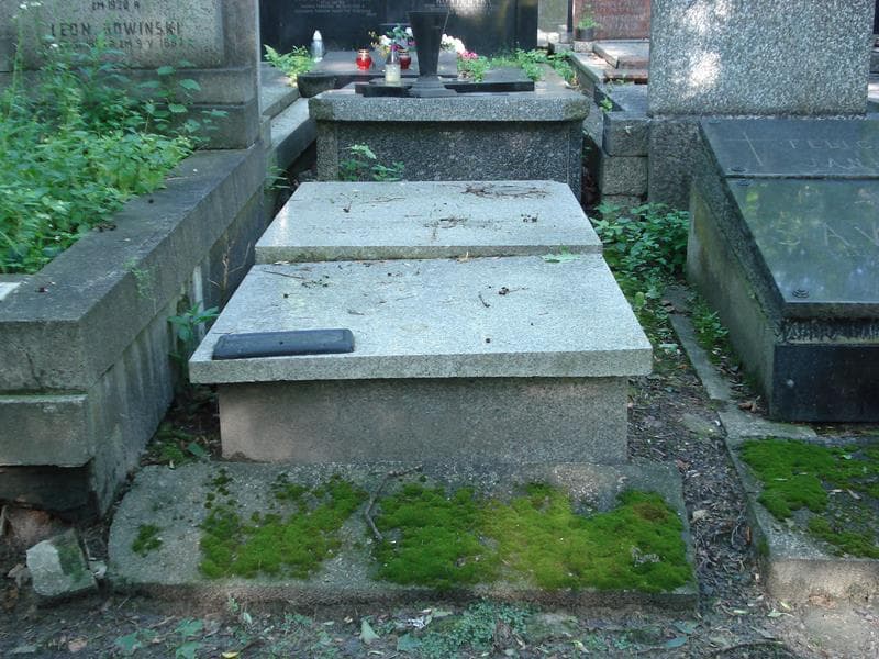 Zdjęcie grobu: Genowefa Brandt