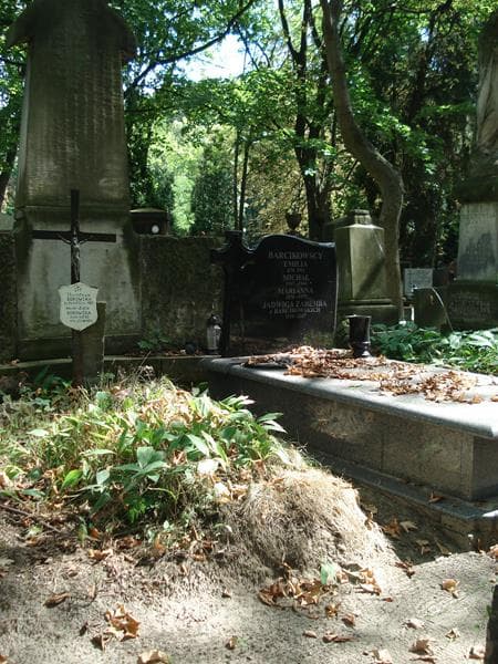 Zdjęcie grobu Wanda Zofia Borowska (1)