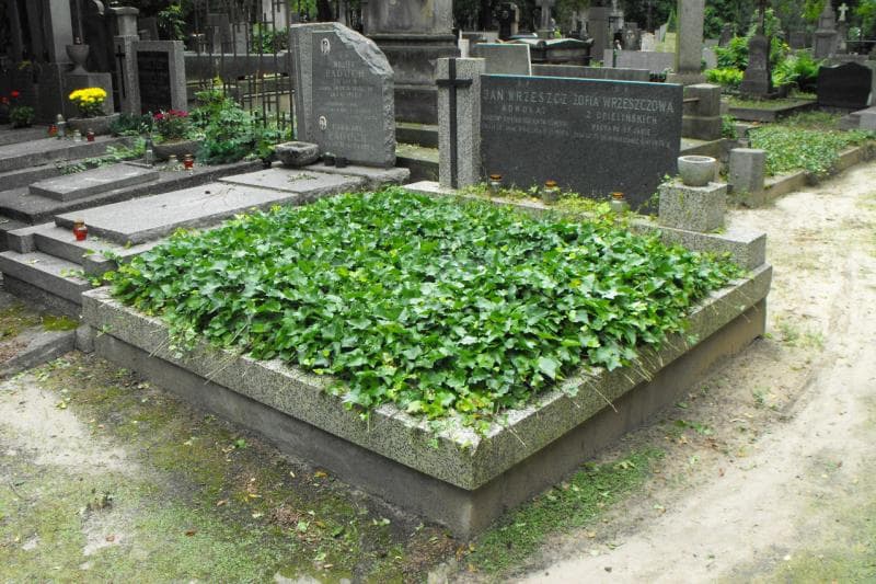 Zdjęcie grobu Jan Wrzeszcz (2)