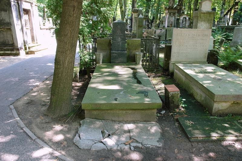 Zdjęcie grobu Julian Dąbrowski (1)
