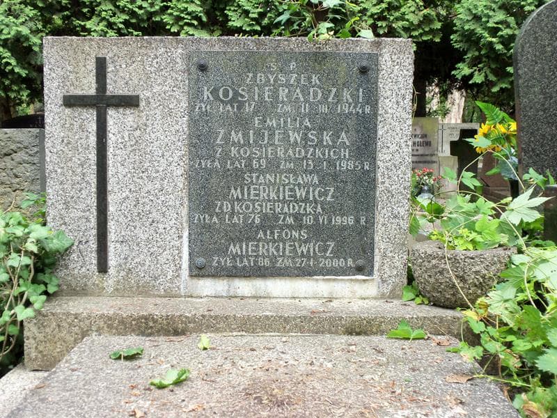 Zdjęcie grobu Emilia Żmijewska (2)