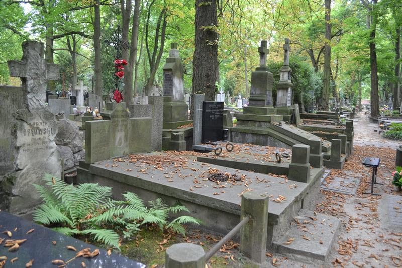 Zdjęcie grobu: Waciunia Nowakowska