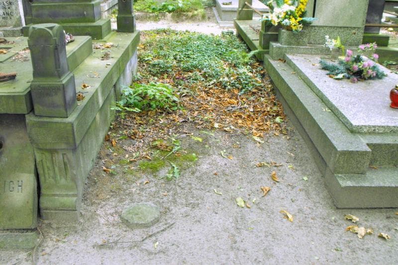 Zdjęcie grobu: Pole Grobowe