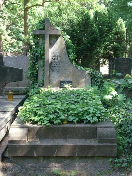 Zdjęcie grobu: Jan Baraniok