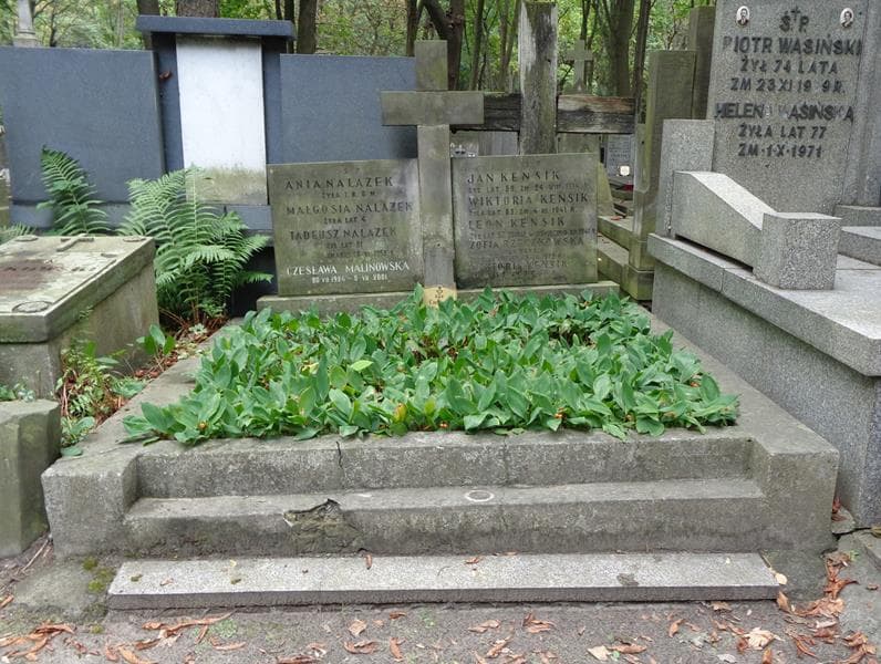Zdjęcie grobu Zofia Rzeczkowska (1)