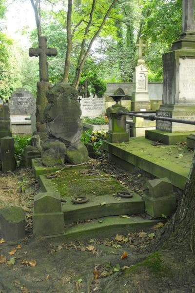 Zdjęcie grobu: Marjanna Majchrowska