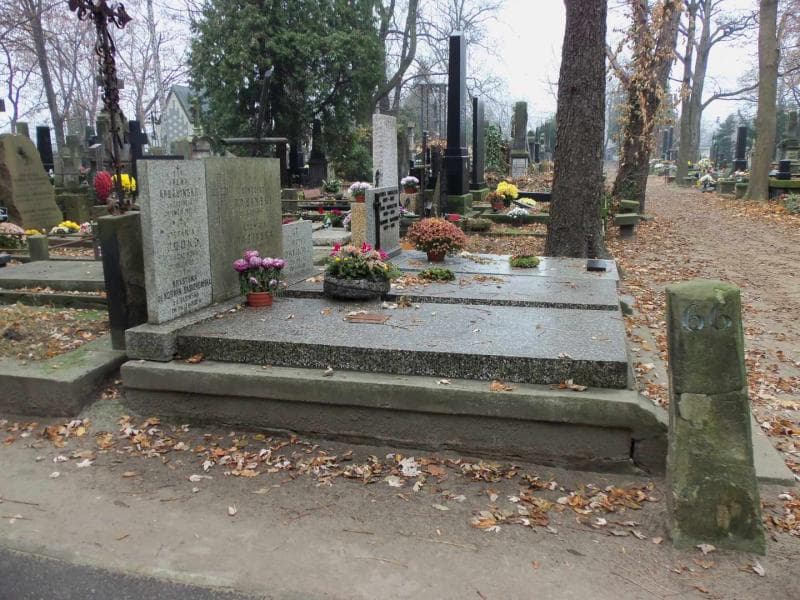 Zdjęcie grobu Ludwika Dabińska (1)