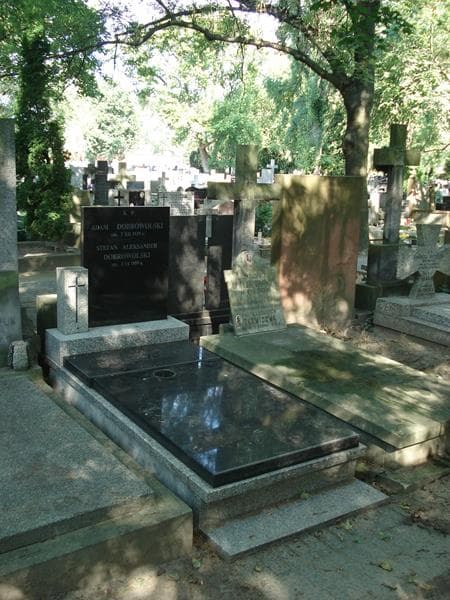 Zdjęcie grobu Janina Dobrowolska (1)