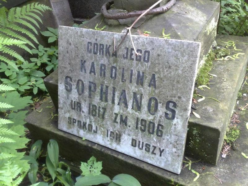 Zdjęcie grobu Antoni Pawłowski (2)