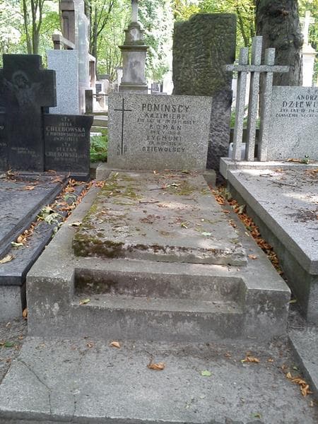 Zdjęcie grobu Roman Poniński (1)