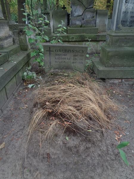 Zdjęcie grobu Kazimierz Grędziński (1)
