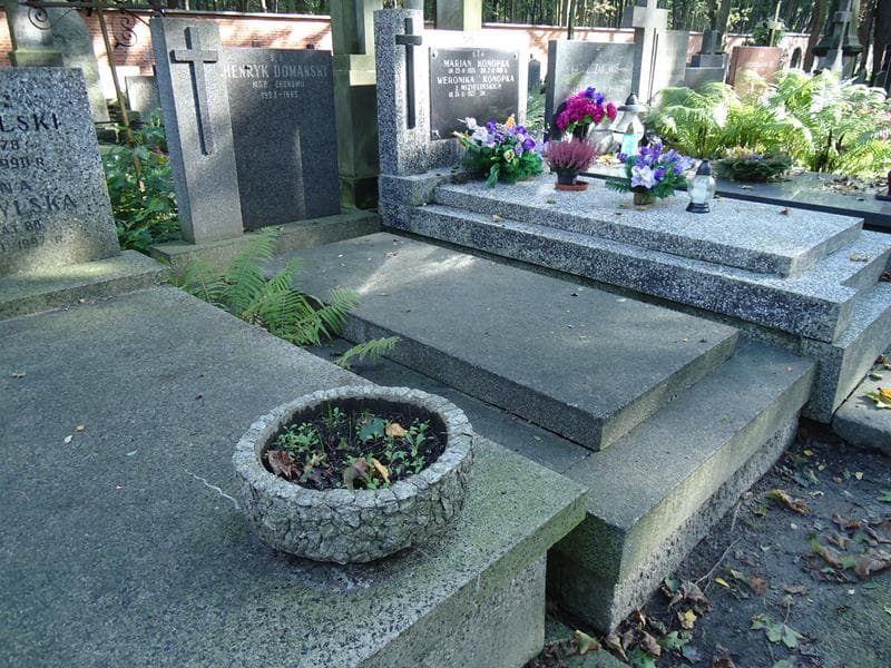 Zdjęcie grobu Henryk Domański (1)