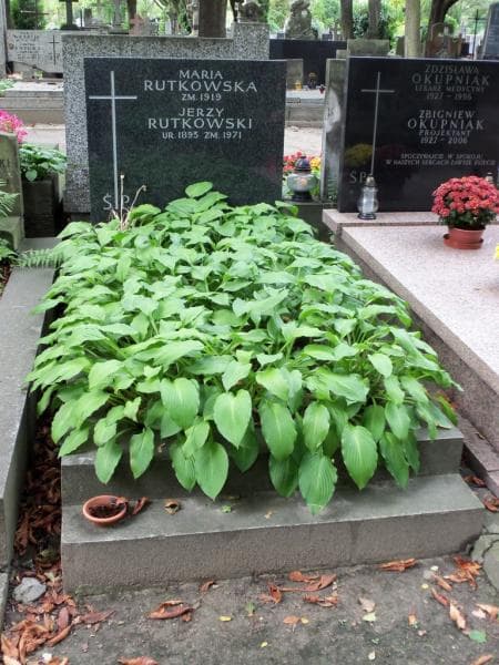 Zdjęcie grobu: Jerzy Rutkowski